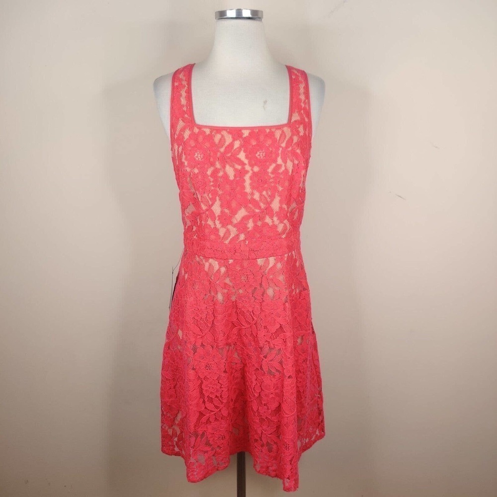 The Limited Lace Dress Sleeveless Fit Flare Floral